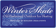 Winter Skate Logo