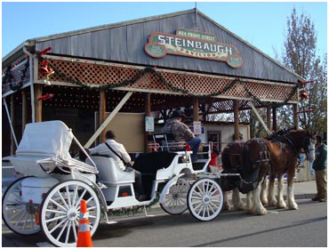 Carriage Rides