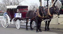 Horse-drawn Carriage